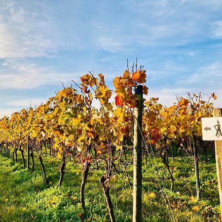 Winzerhotel Kinges-Kessel Morstadt Luaran gambar