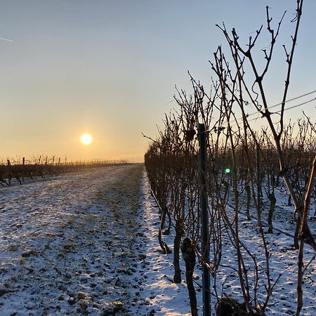 Winzerhotel Kinges-Kessel Morstadt Luaran gambar
