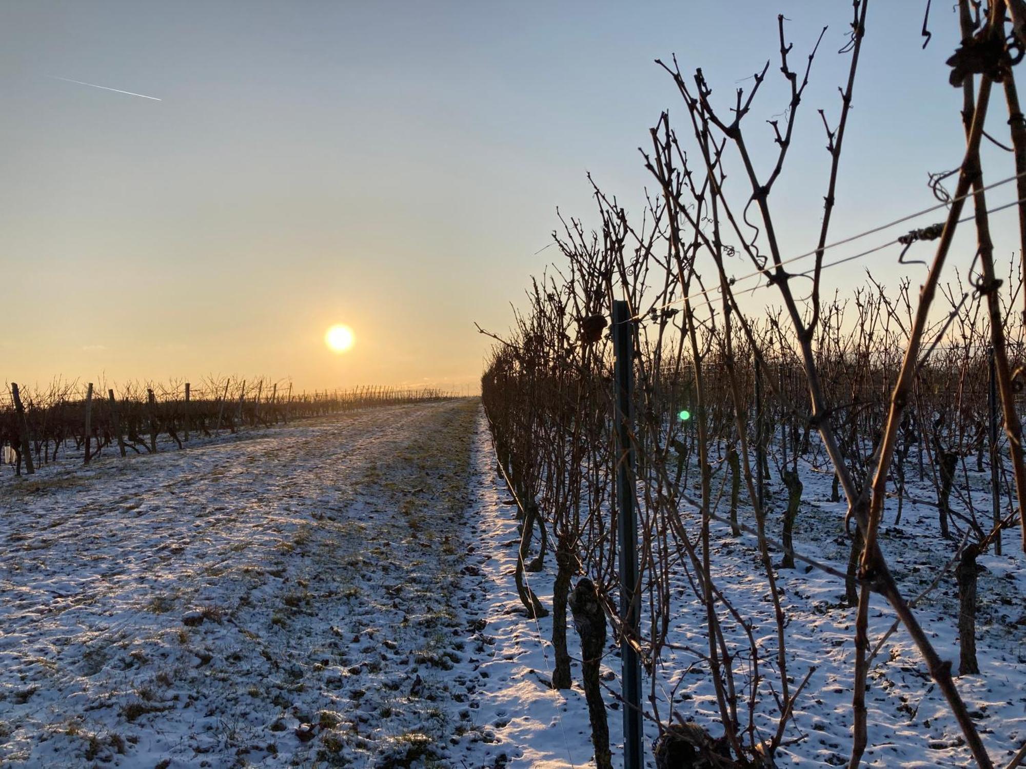Winzerhotel Kinges-Kessel Morstadt Luaran gambar